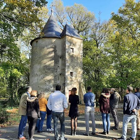 Chateau De Mornay Saint-Pierre-de-l'Isle المظهر الخارجي الصورة