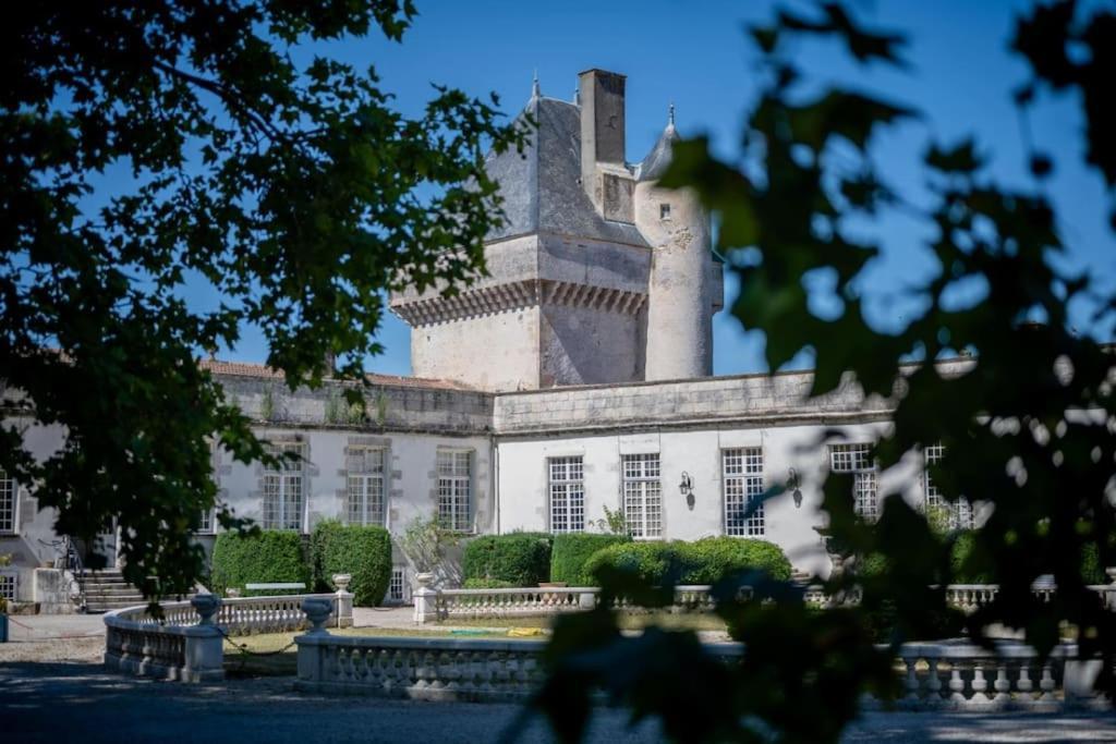 Chateau De Mornay Saint-Pierre-de-l'Isle المظهر الخارجي الصورة